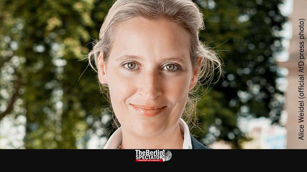 Legal Experts: Strong Case for Banning the AfD